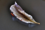 Dried lily with stamens on glass 2