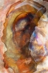 Figure In Amber